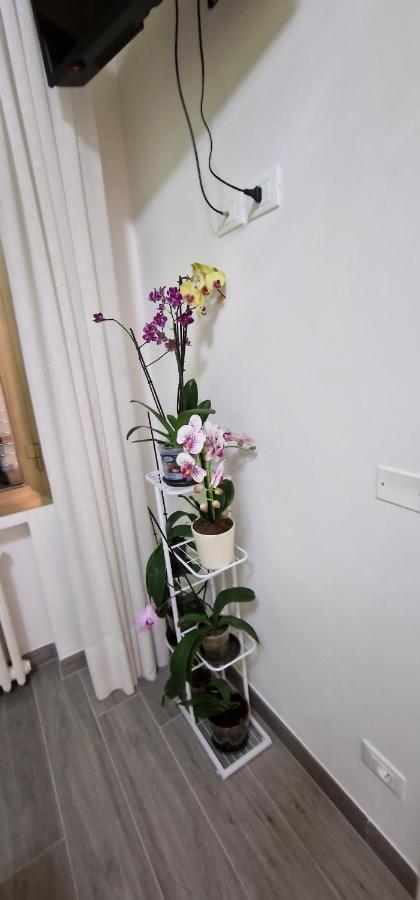 Orchidea Bed and Breakfast Μπολόνια Εξωτερικό φωτογραφία