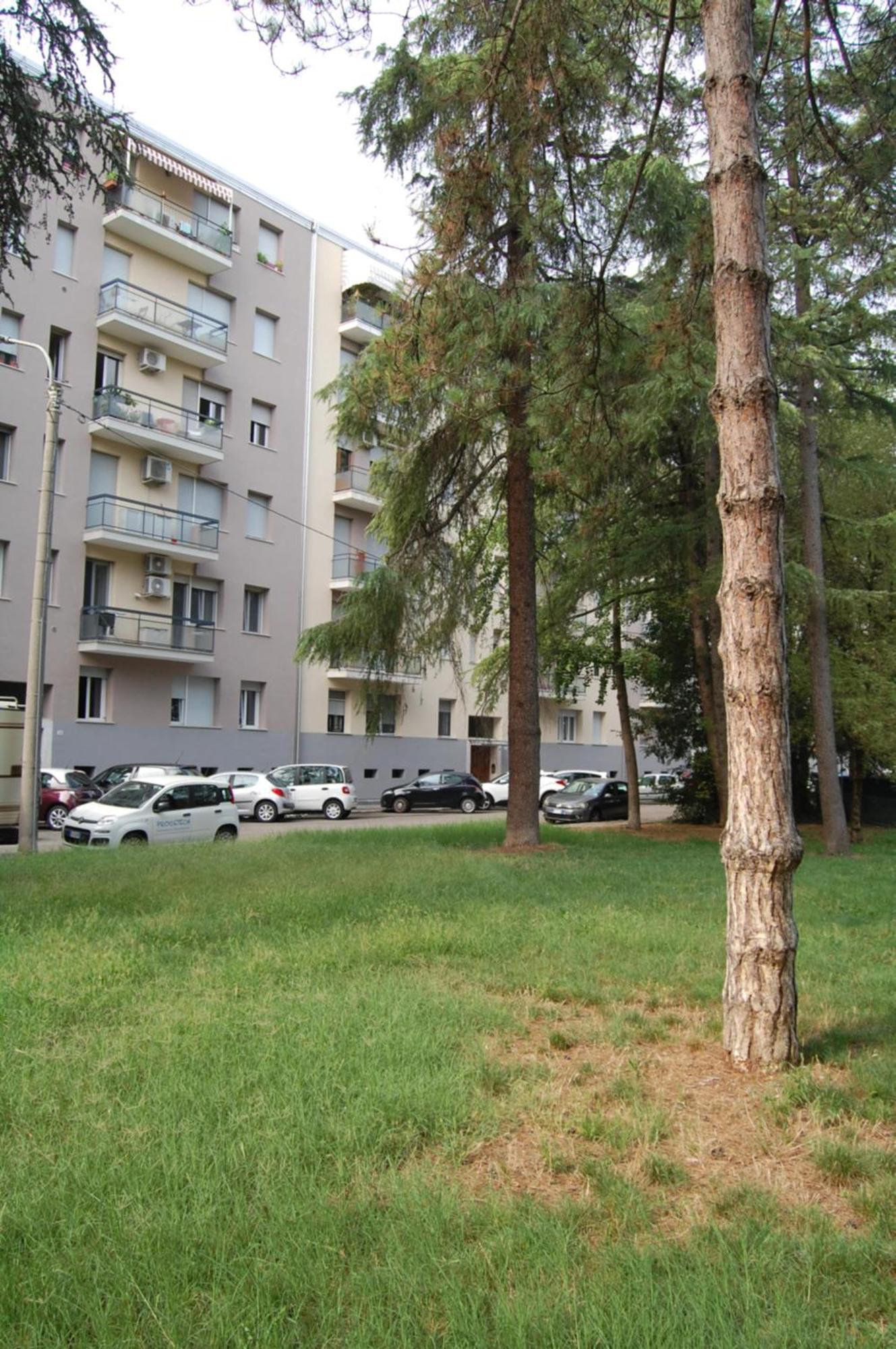 Orchidea Bed and Breakfast Μπολόνια Εξωτερικό φωτογραφία